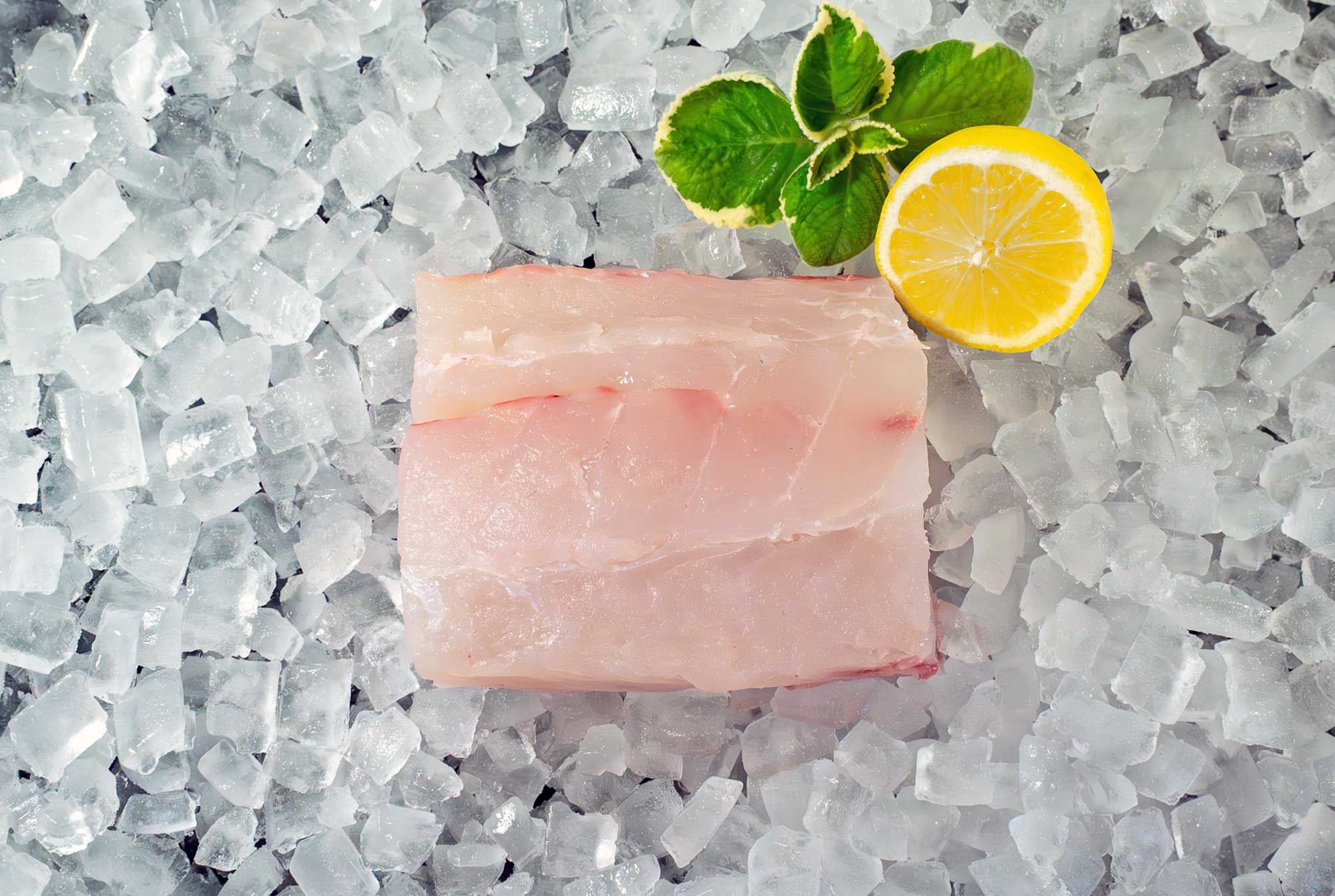 Black Grouper Fillet