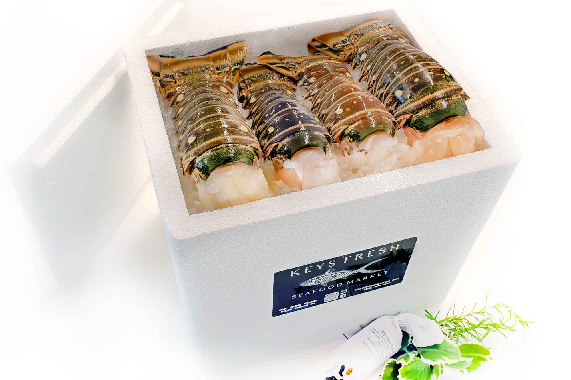 RET BOX LOBSTER TAIL