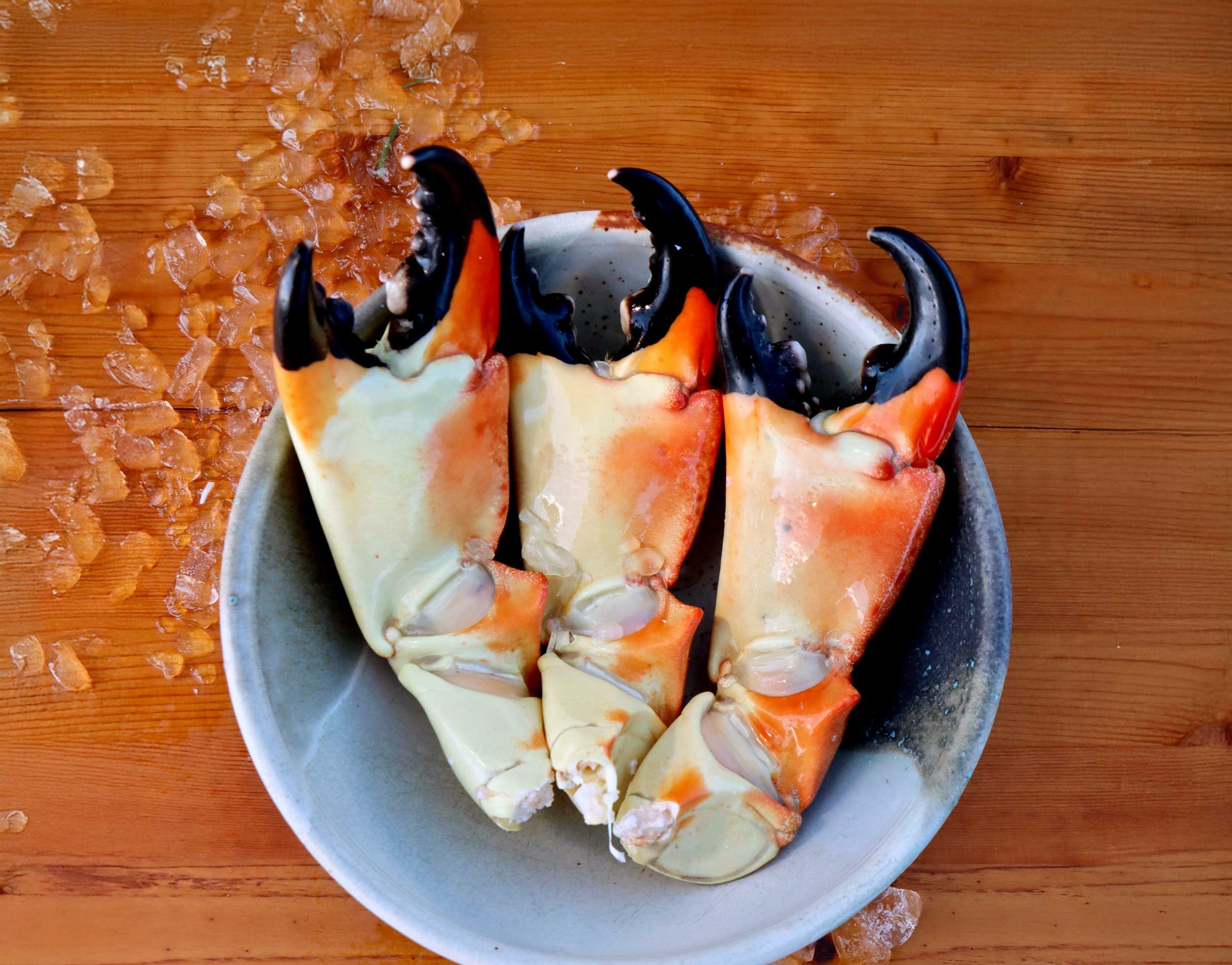 Stone Crab Party Platter - 6 Lb. Large Stone Crab + 2 Stone Crab Dips & 2 Mustard Sauce