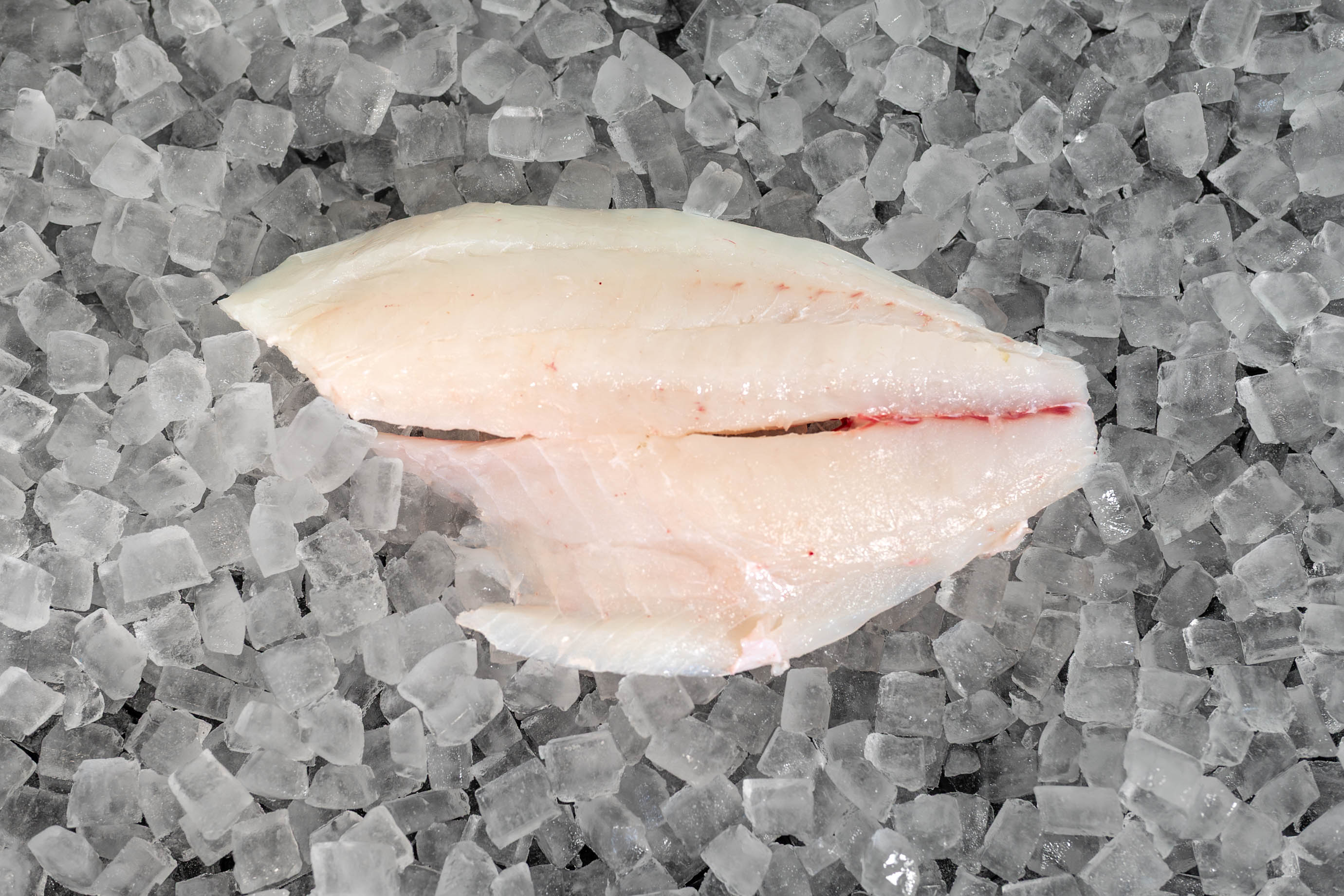 Hogfish Fillet (PER LB)