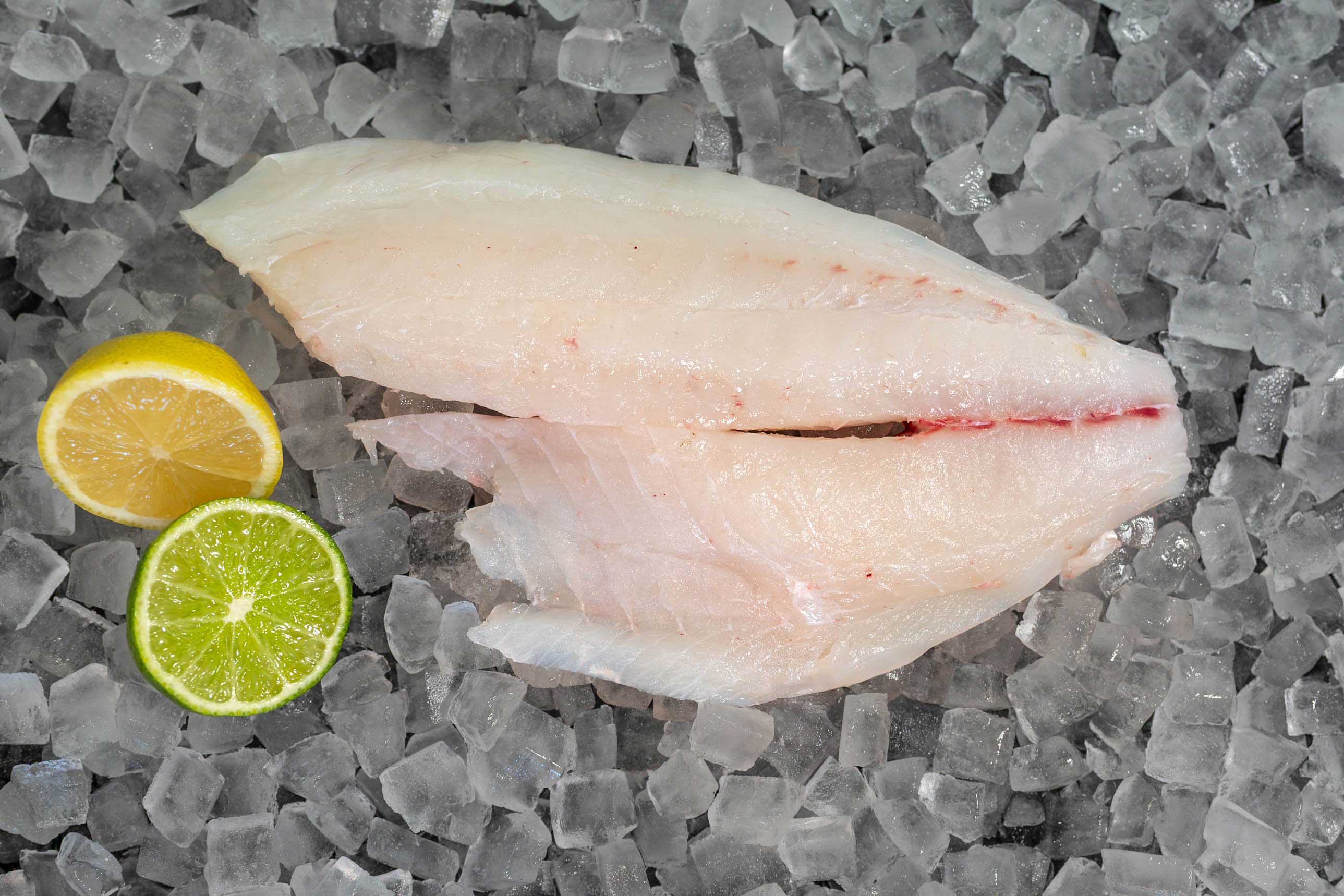 Hogfish Fillet (PER LB)