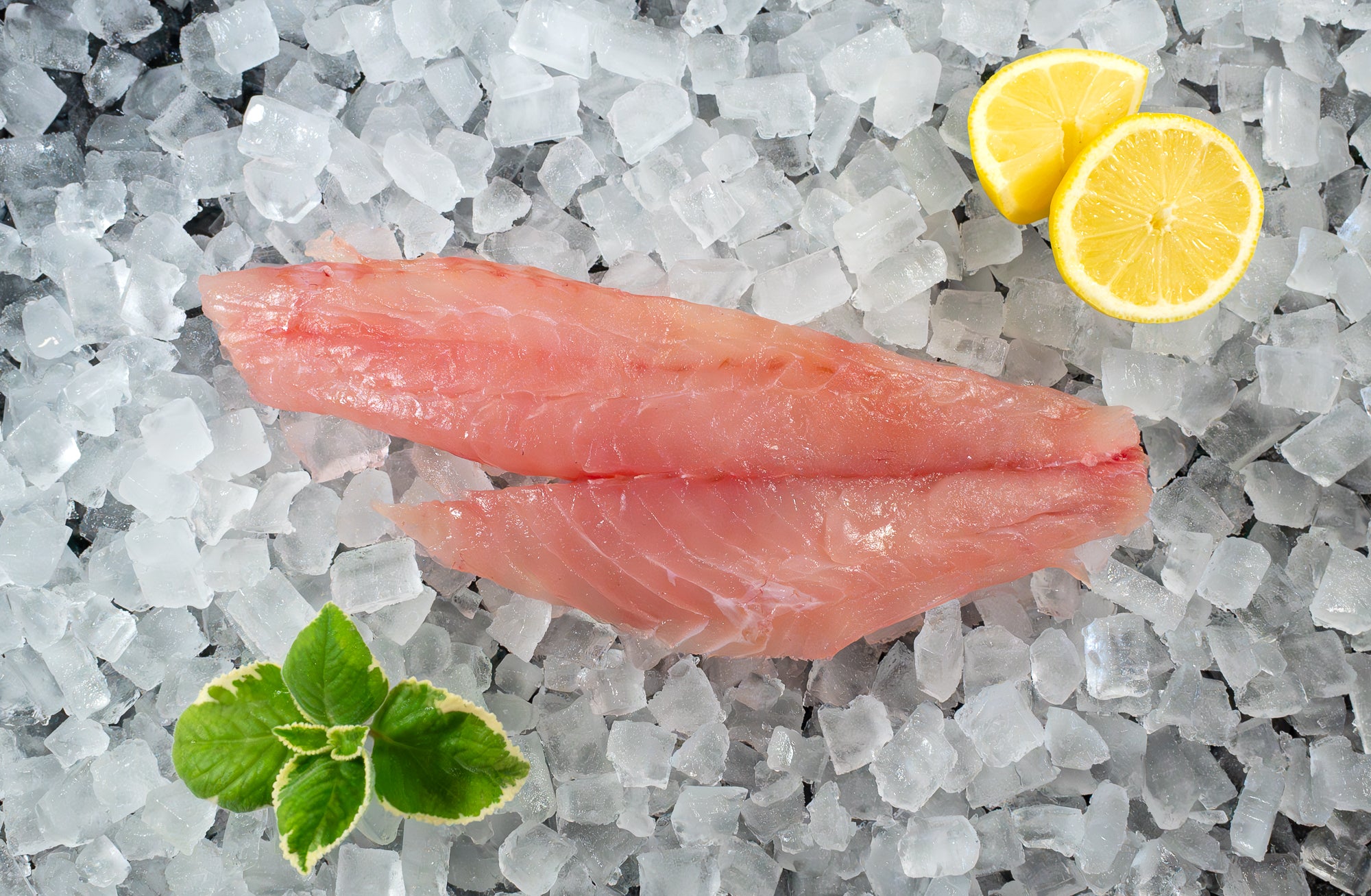 Vermillion Snapper Fillet (PER LB)