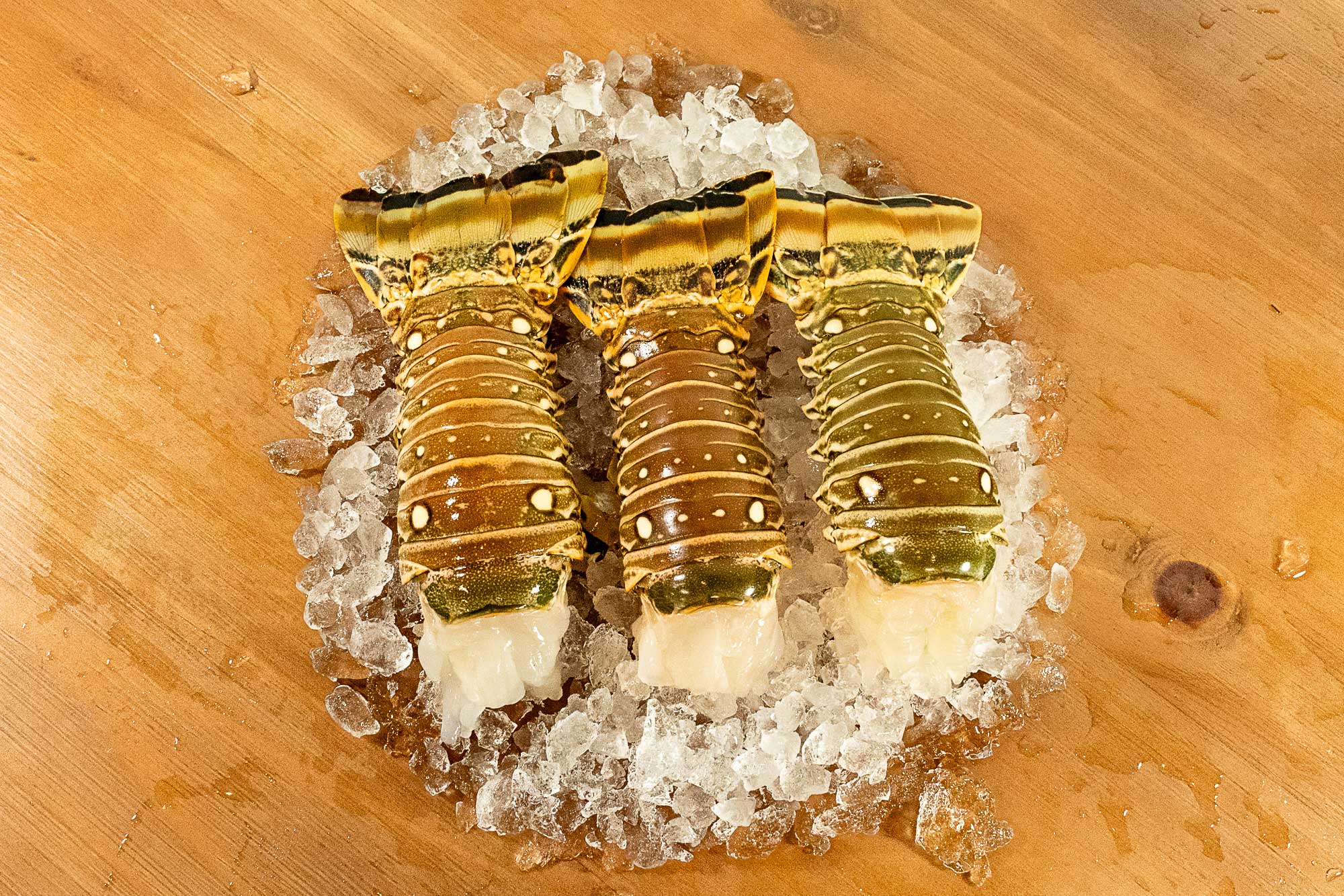 Florida Lobster Tails