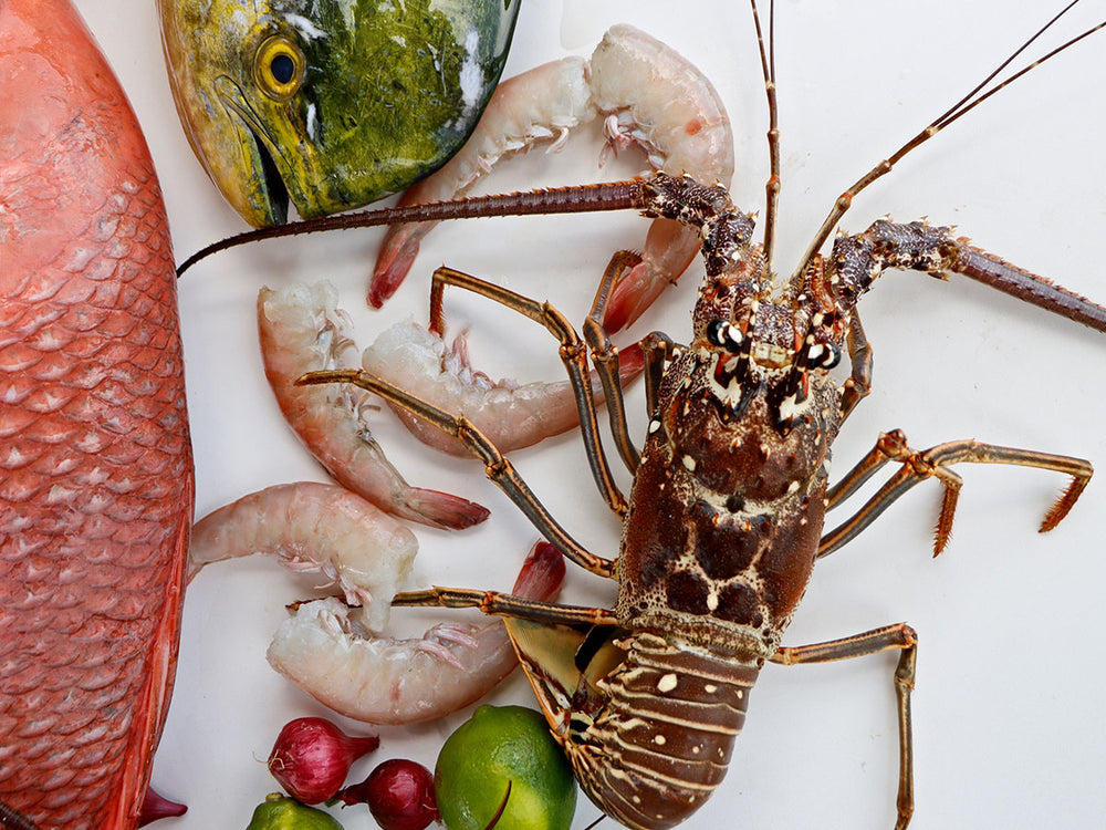 Florida Lobster Shipped To Your Door