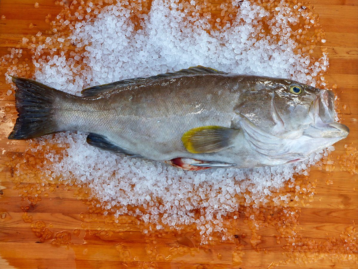 Yellowedge Grouper Fillet (PER LB)