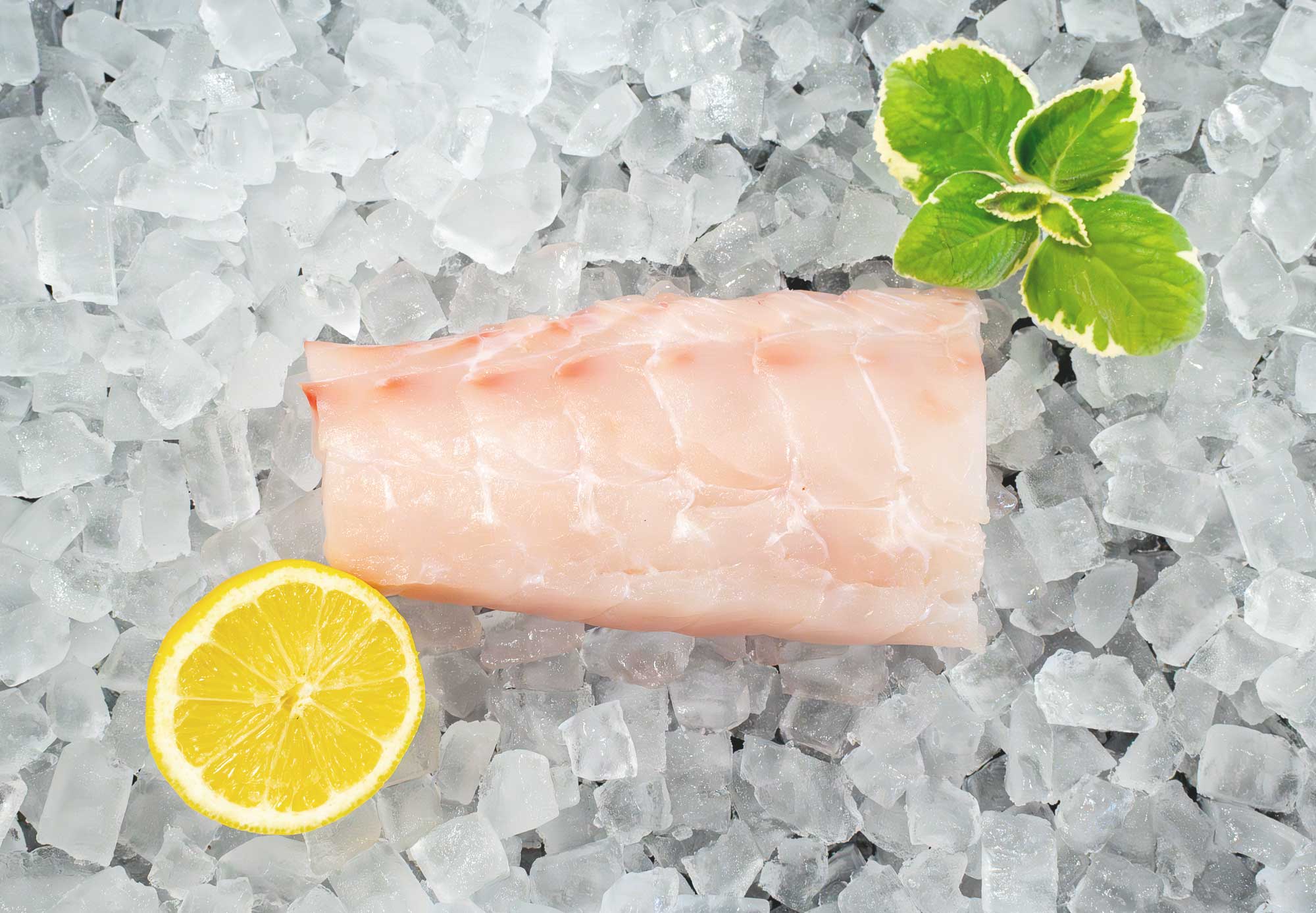 Deep Water Specialty and Whole - Golden Tilefish