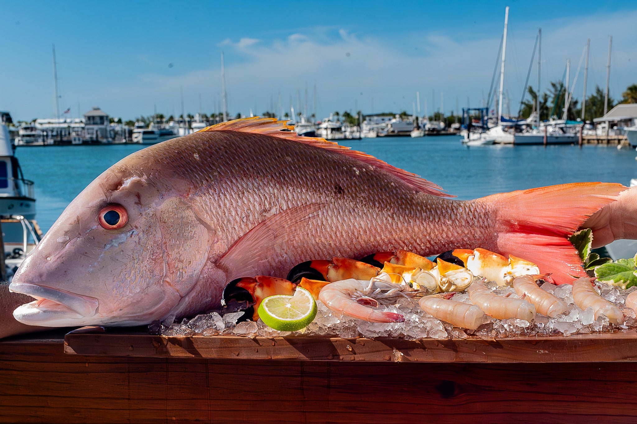 All Seafood