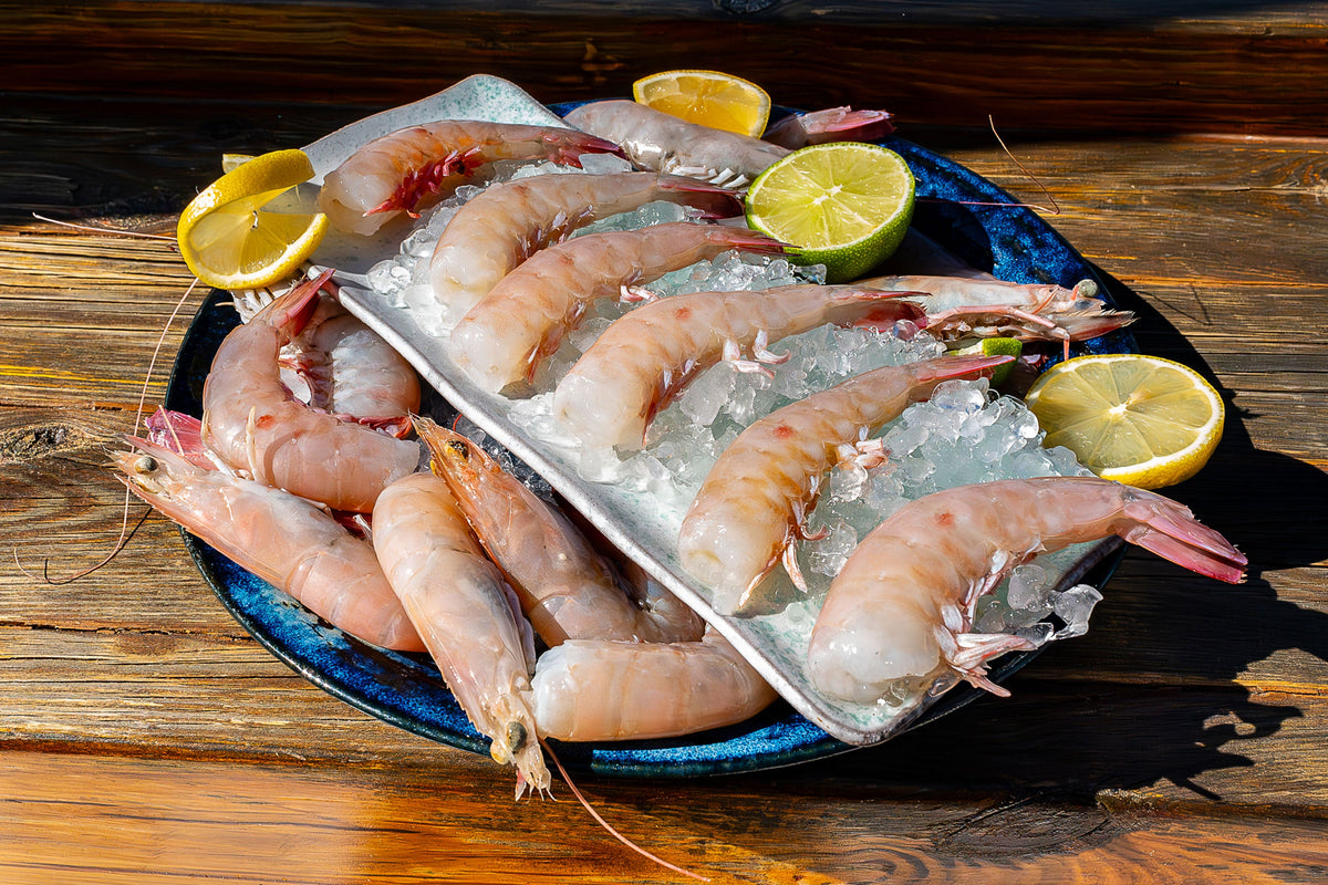 Buy Key West Pink Shrimp & Royal Red Shrimp- Keys Fresh Seafood Market