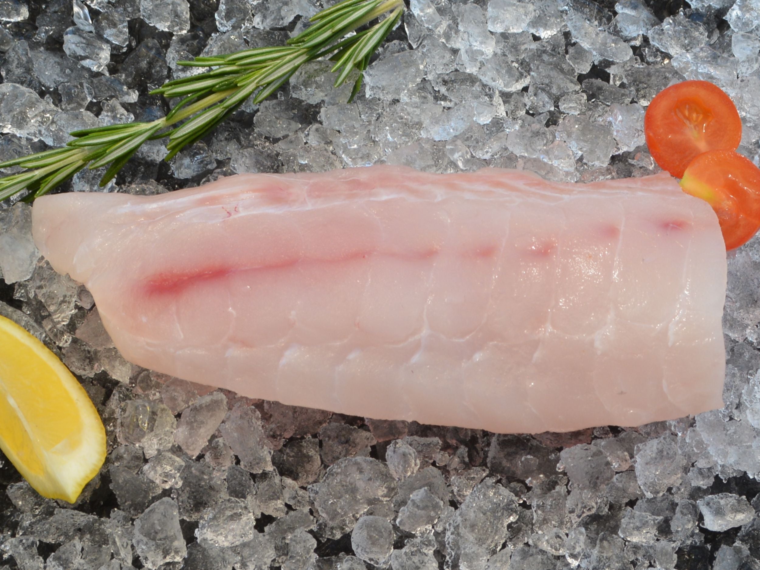 Grey Tilefish Fillet (PER LB) – Keys Fresh Seafood