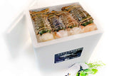 Box of Lobster Tails - 10lbs Total