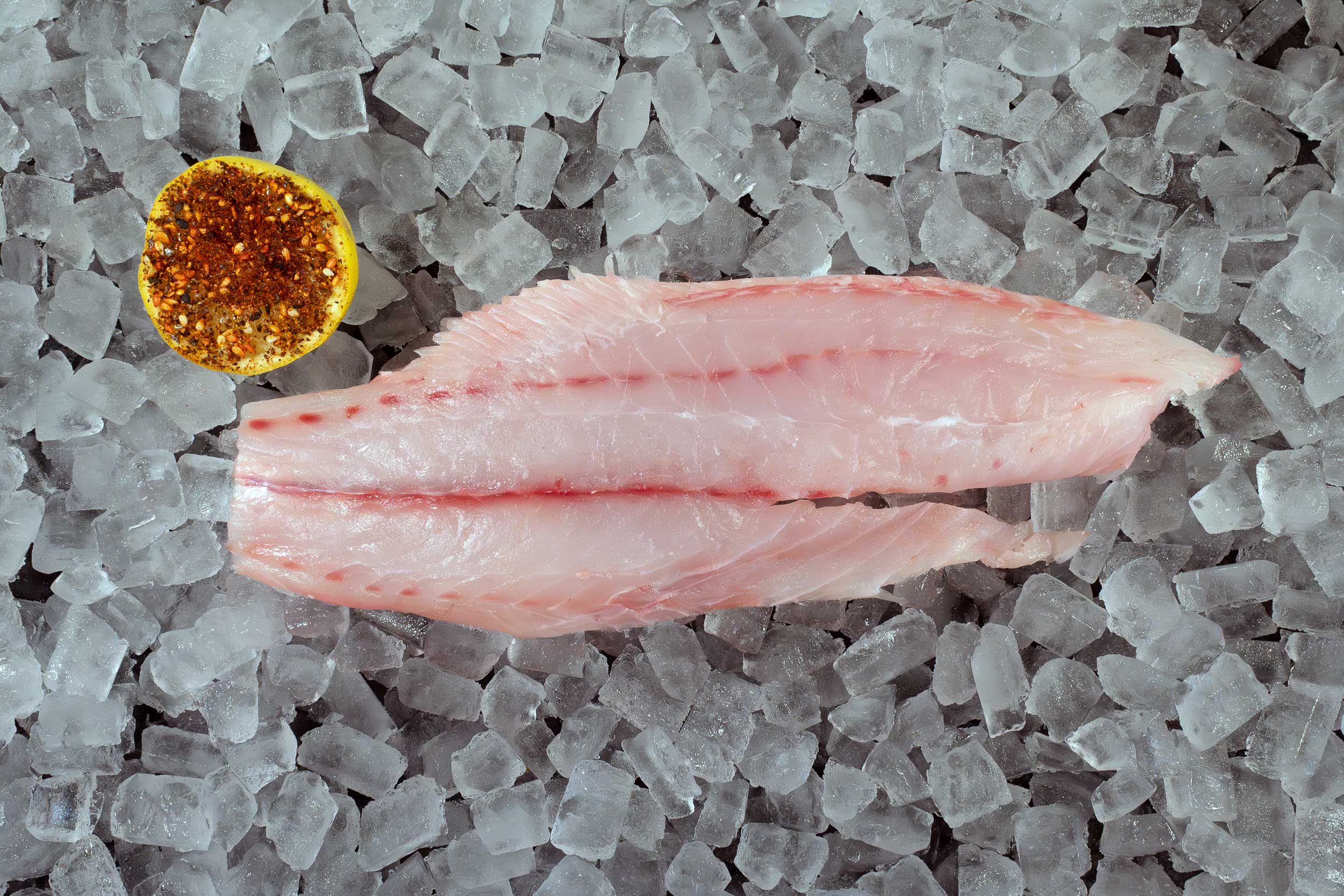 Mangrove Snapper Filet