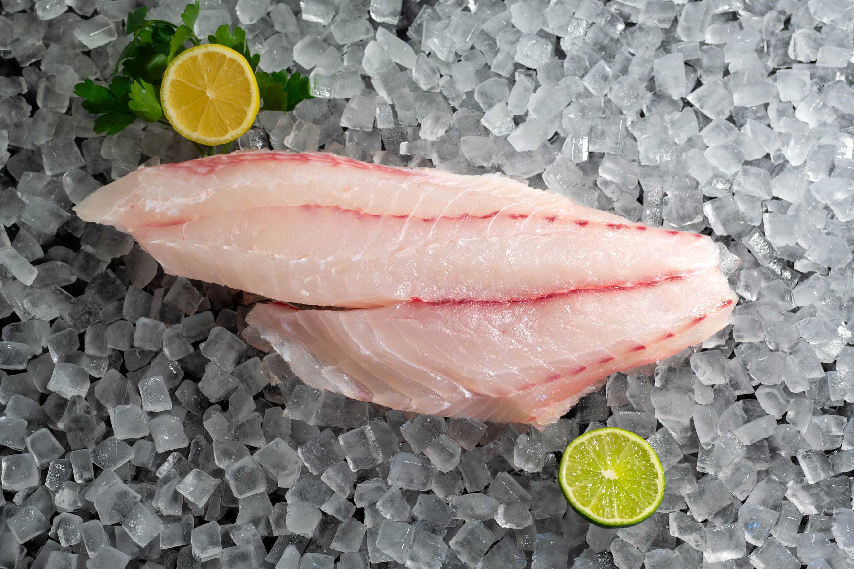Mutton Snapper Fillet (PER LB)