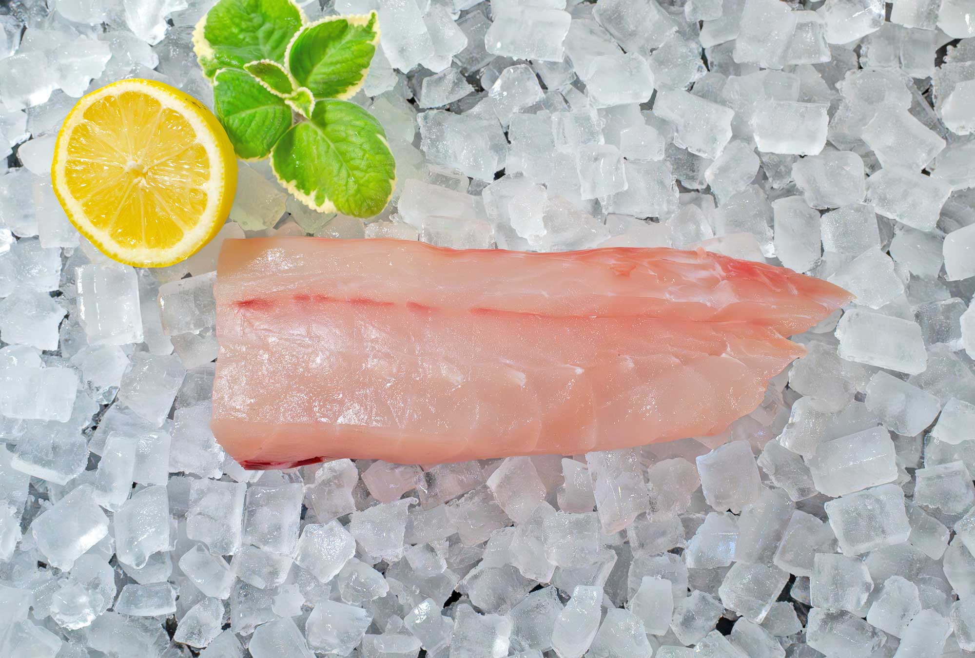 Queen Snapper Fillet (PER LB)