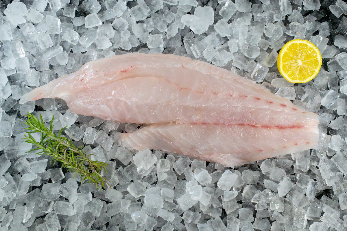 Red Grouper Fillet (PER LB)