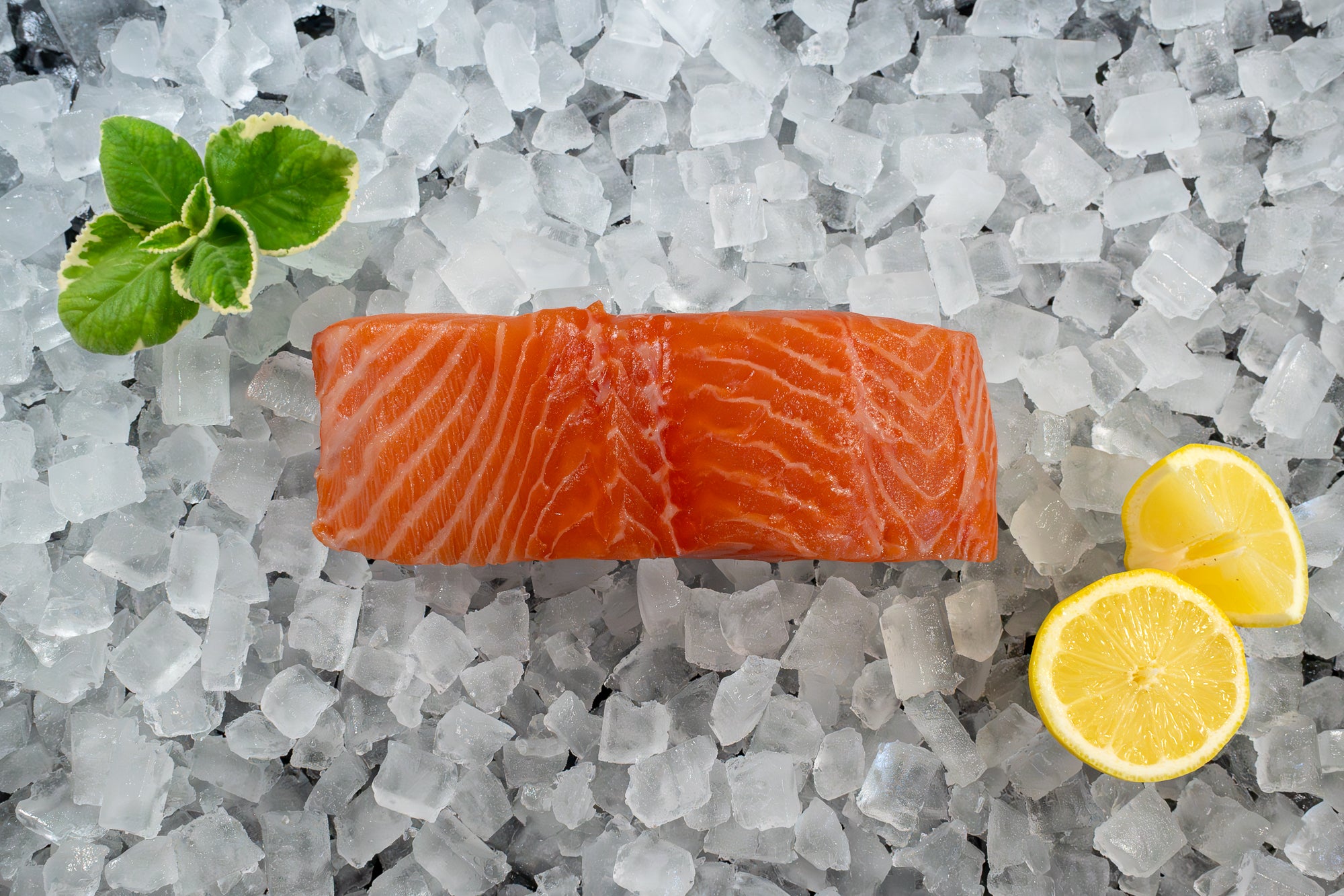 Faroe Island Salmon