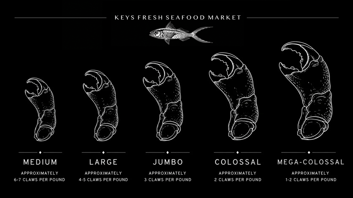 Florida Keys Stone Crab Size Chart
