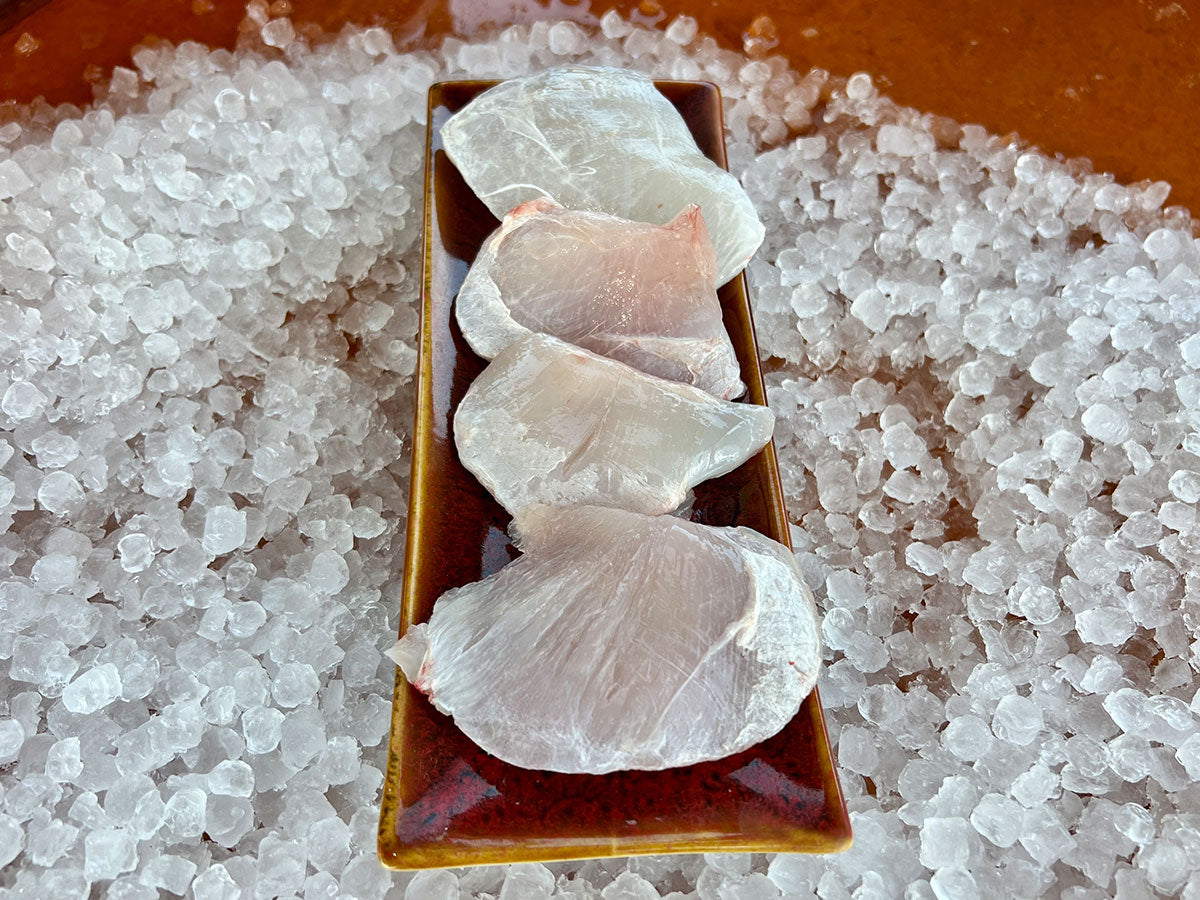 Grouper Cheeks Keys Fresh Seafood