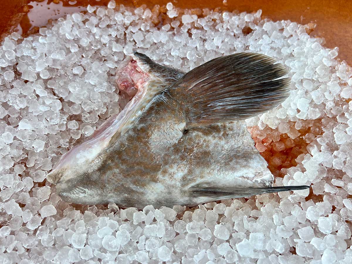 Collared Fish Fish Collars (PER LB) – Keys Fresh Seafood