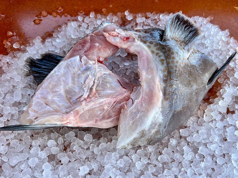 Collared Fish Fish Collars (PER LB)