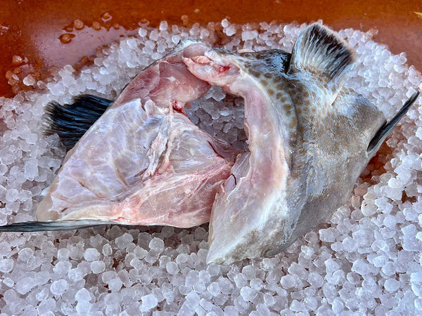 Grouper Collar Fresh Seafood For Sale
