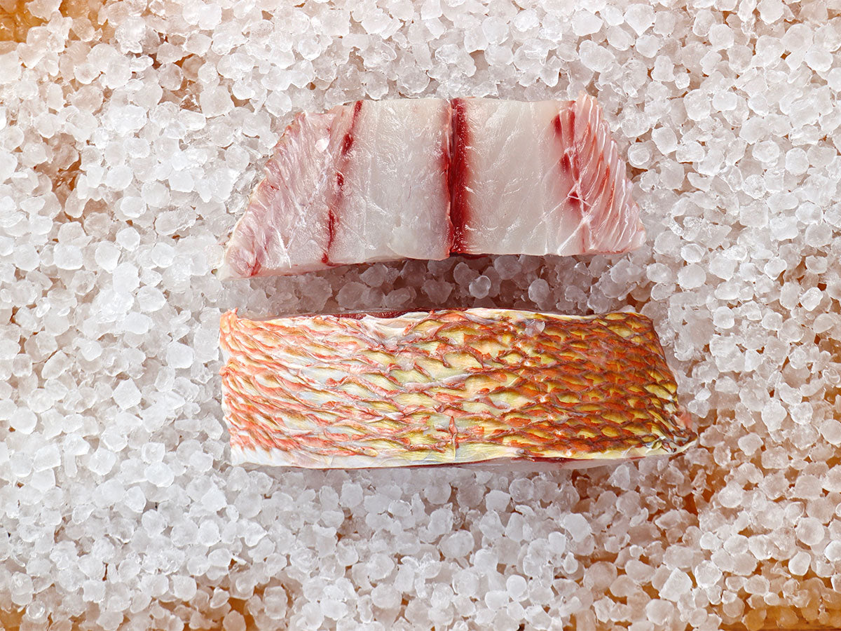 Dog Snapper Fillet (PER LB)