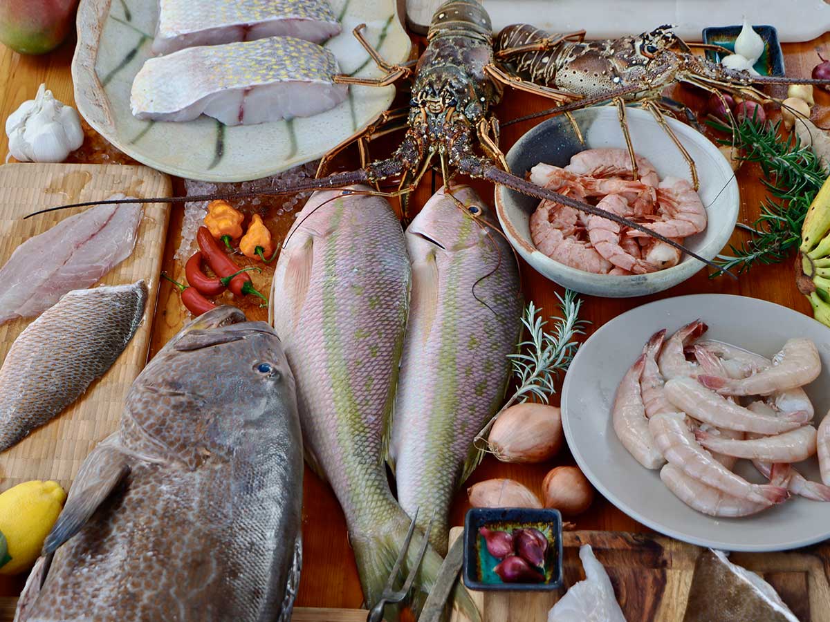 Fish – Keys Fresh Seafood