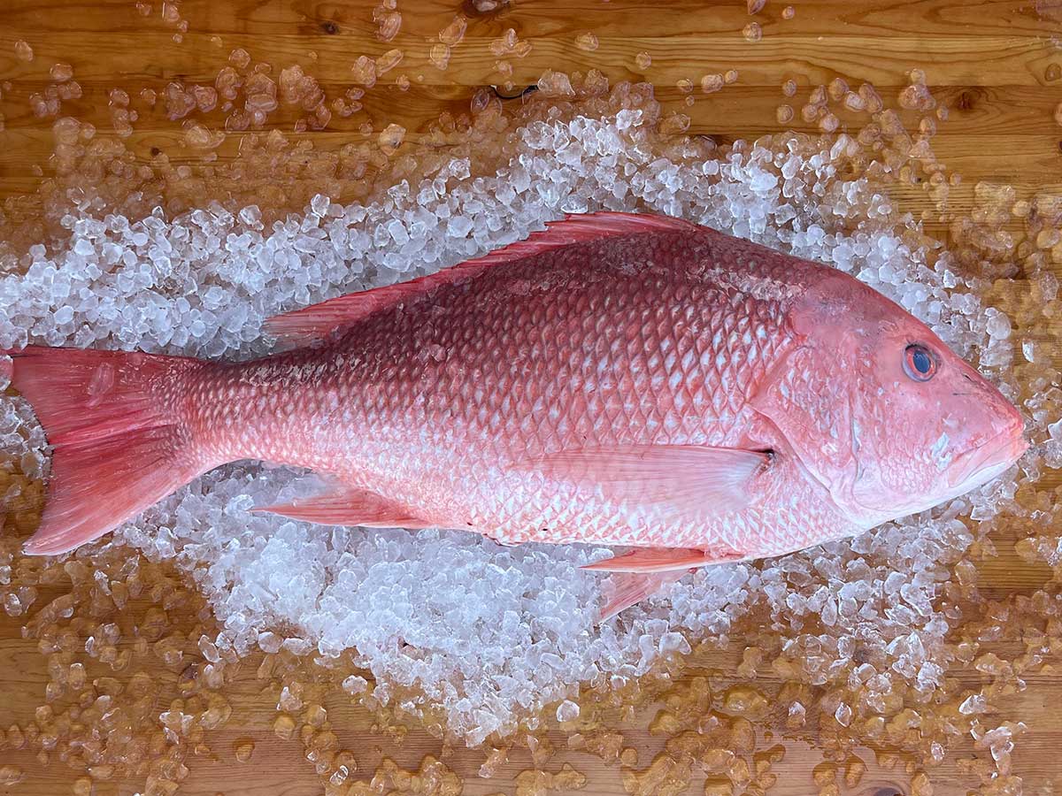 Red Snapper Fillet (PER LB)