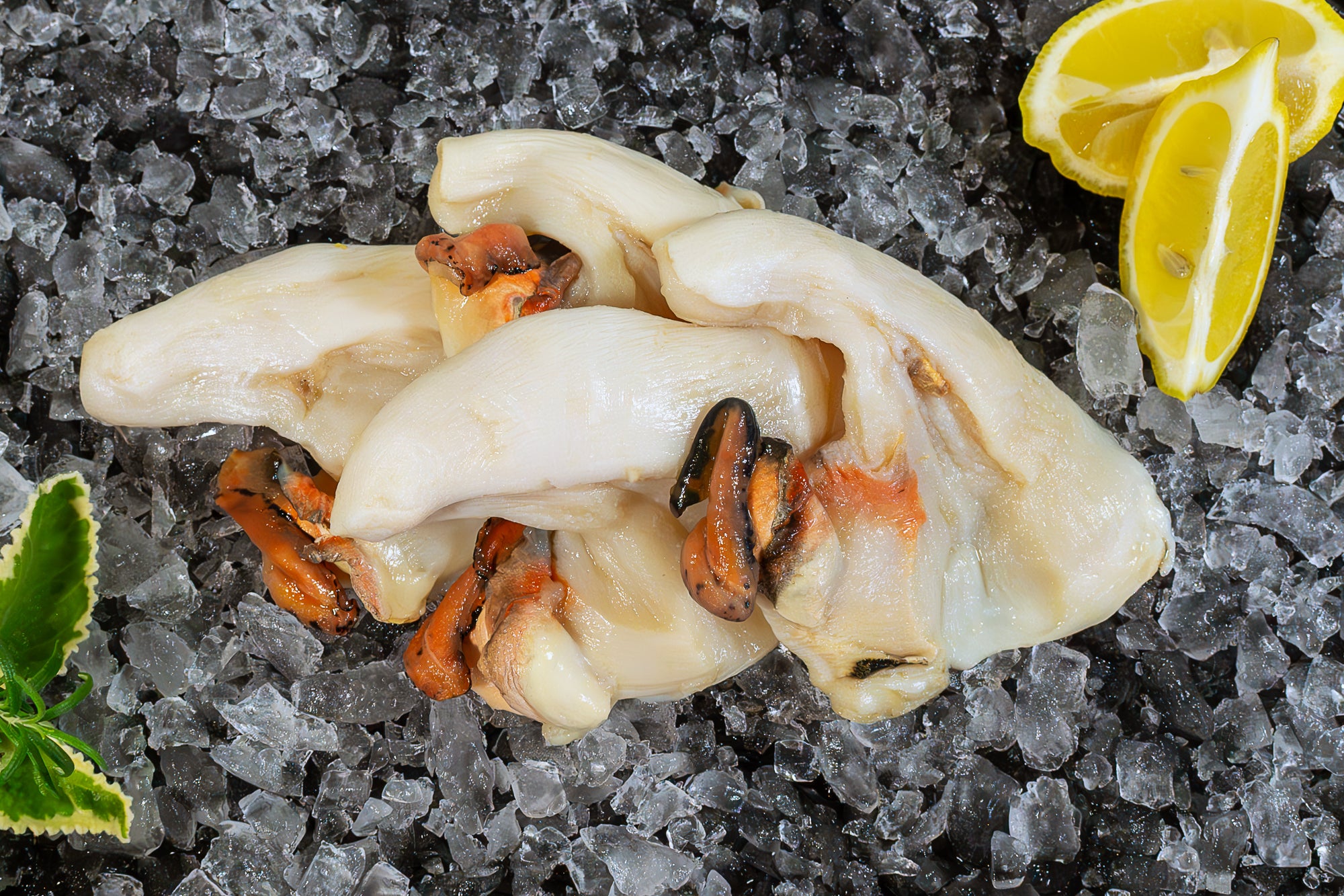 Conch Meat (PER LB)