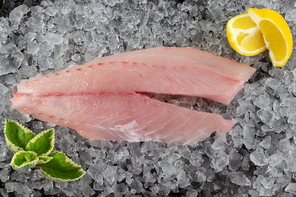 Yellowtail Snapper Fillet (PER LB)