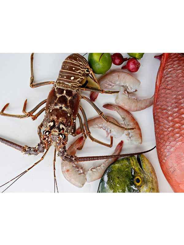 Lobster, Shrimp, Stone Crab & Fresh Fish For Sale