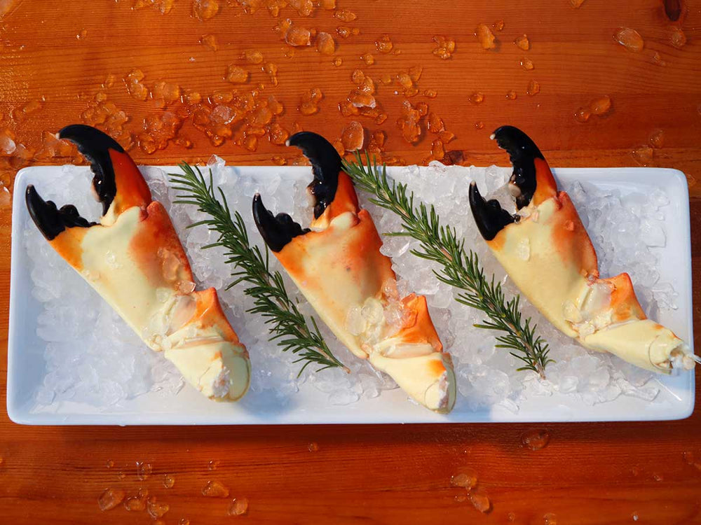 Stone Crab For Sale Online