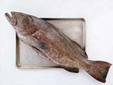 Black Grouper Fillet (PER LB)