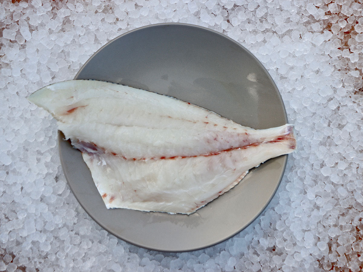 Jolthead Porgy Fillet (PER LB)