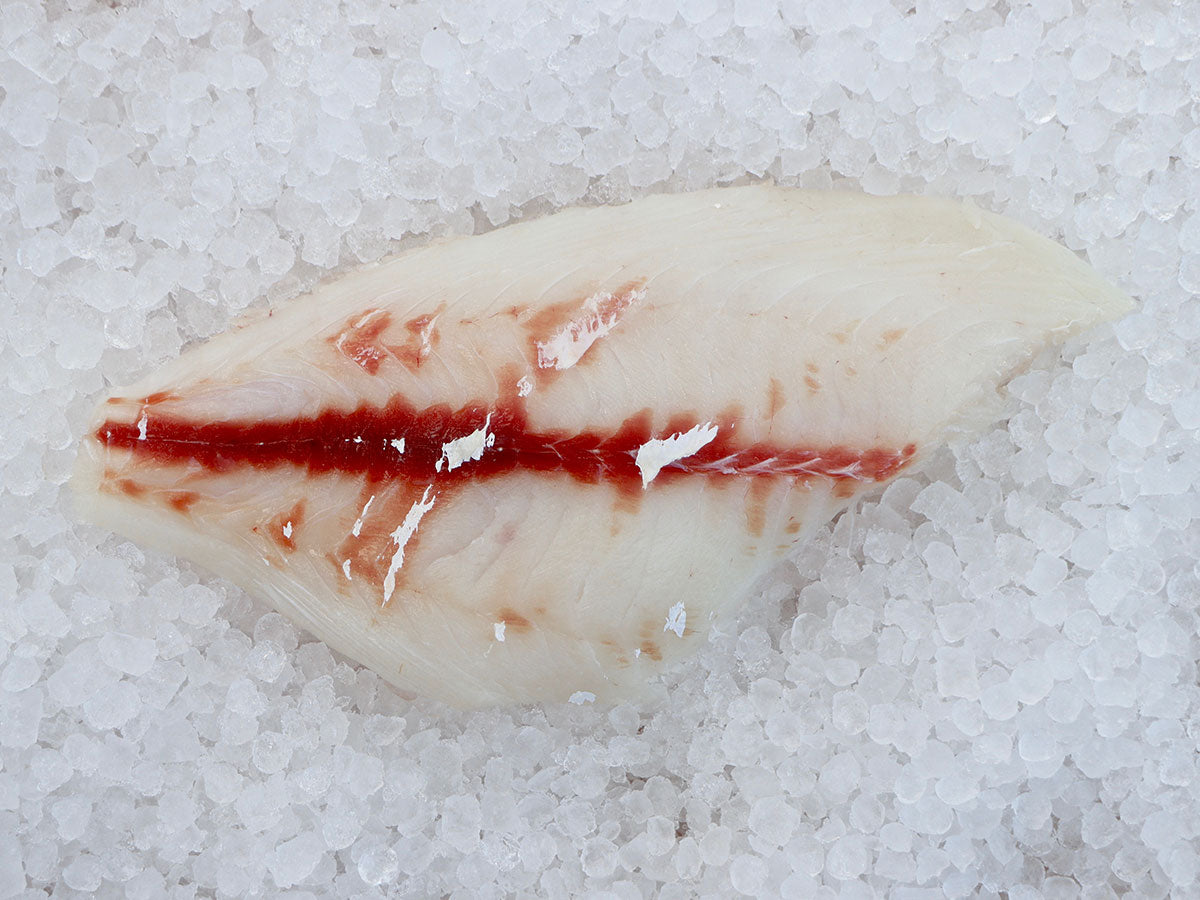 Jolthead Porgy Fillet (PER LB)