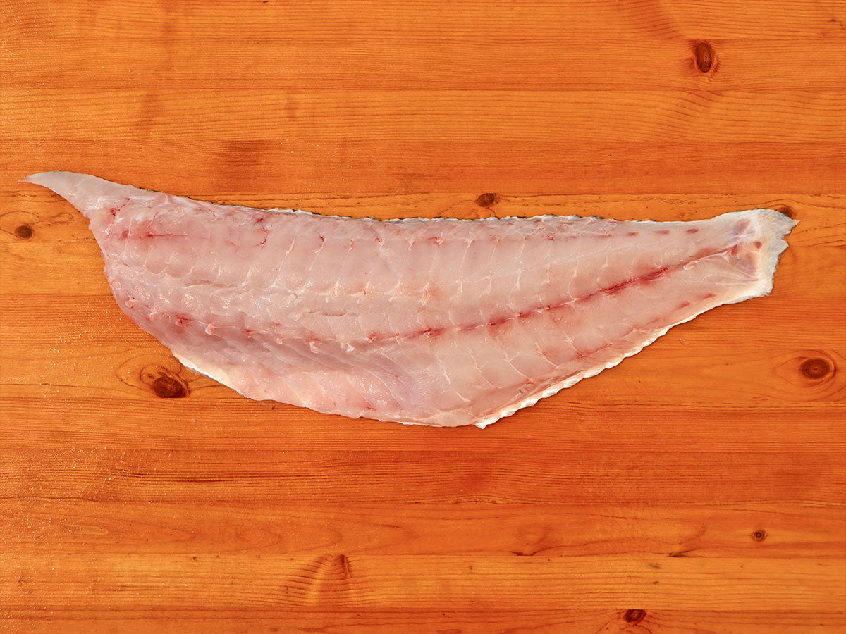 Golden Tilefish Fillet (PER LB)