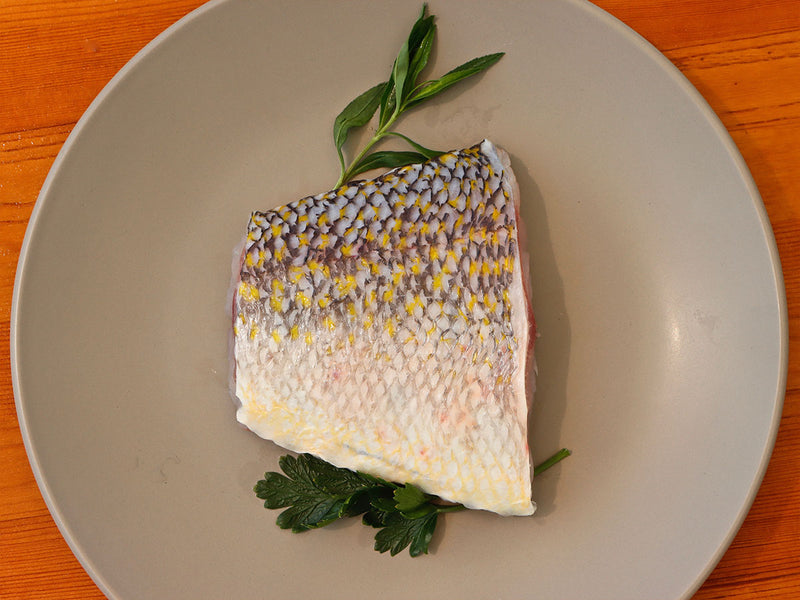 Tile Fillet Tilefish Fillet