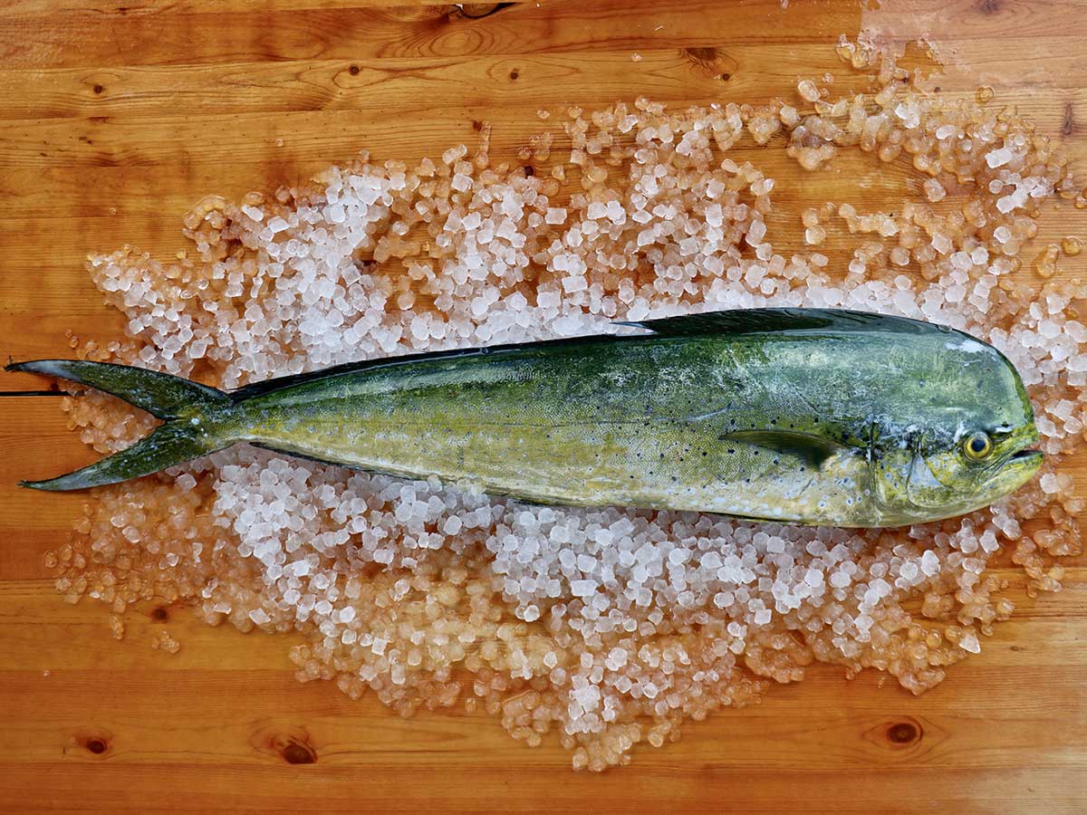 Meaji Fish Mahi Mahi Fillet (PER LB)
