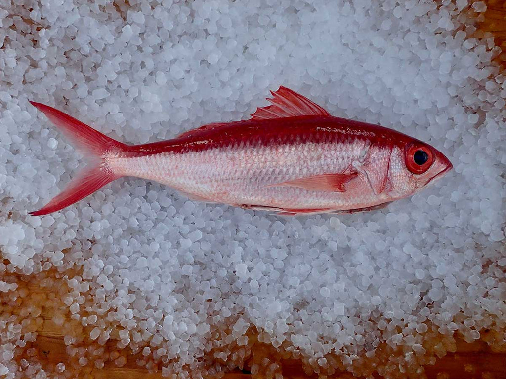 Queen Snapper Fillet