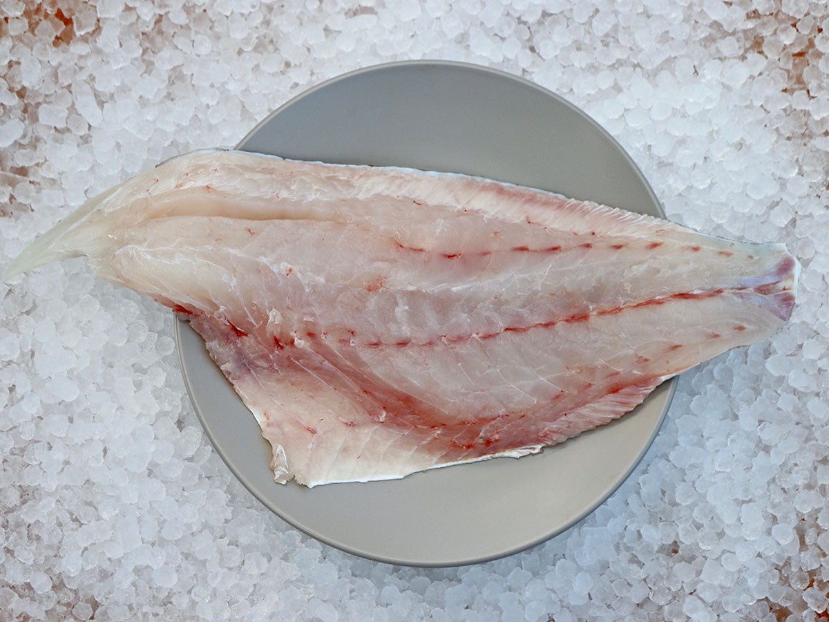 Red Grouper Fillet (PER LB)