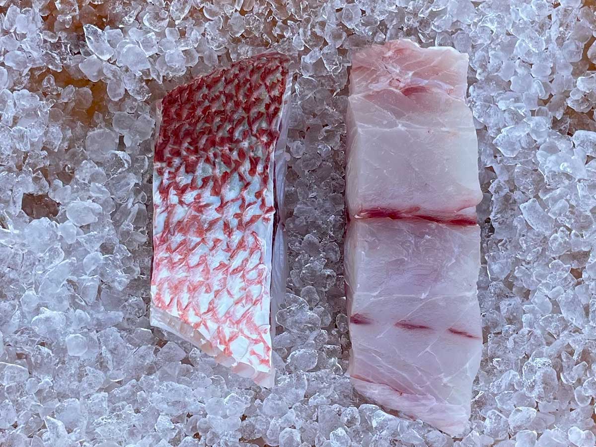 Red Snapper Fill Red Snapper Fillet (PER LB)
