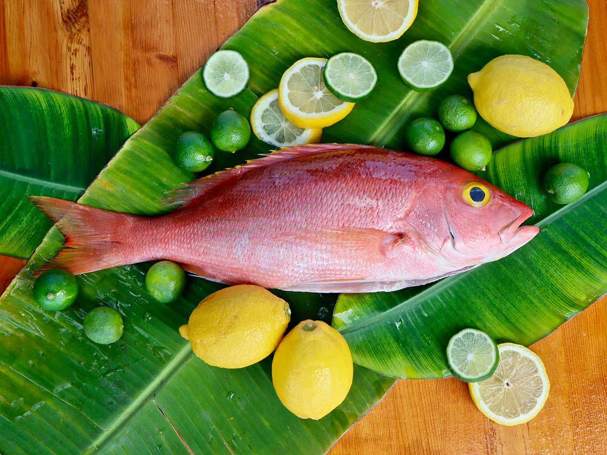 Yelloweye Snapper Fillet (PER LB)